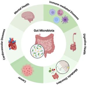 Tests for Gut Health, Treatment Health: Complete Guide for Better Digestive Health